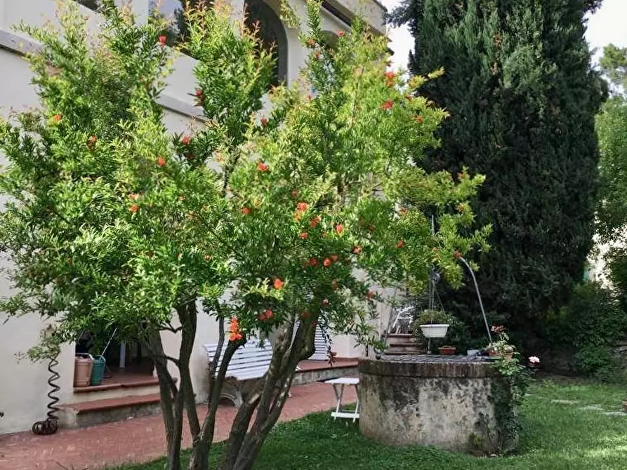 Immagine 10 di Villa in vendita  a Calci