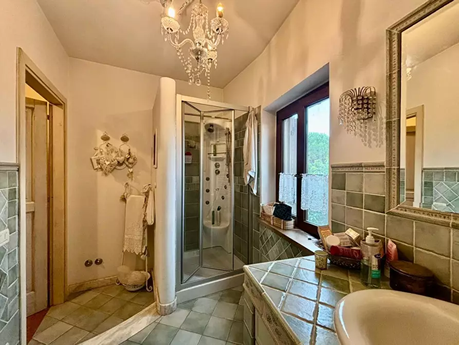 Immagine 24 di Terratetto in vendita  a Terricciola