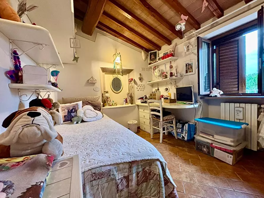 Immagine 30 di Terratetto in vendita  a Terricciola