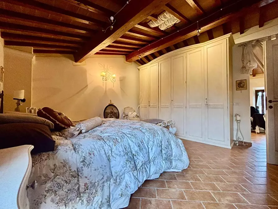 Immagine 29 di Terratetto in vendita  a Terricciola