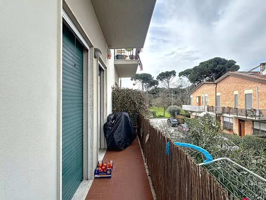 Immagine 24 di Appartamento in vendita  a Viareggio