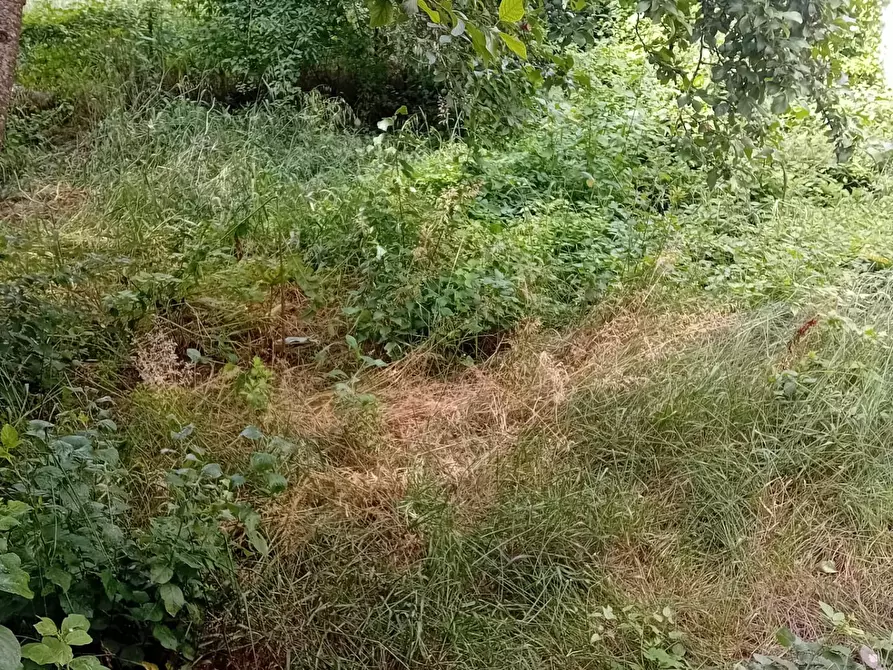 Immagine 3 di Attività artigianale in affitto  a Prato