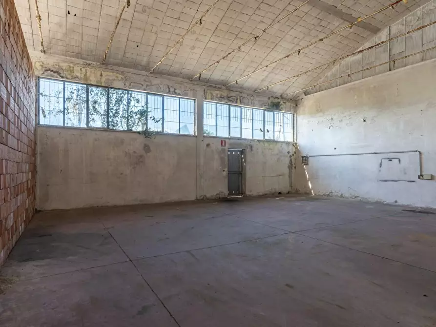 Immagine 7 di Attività artigianale in vendita  a Calcinaia