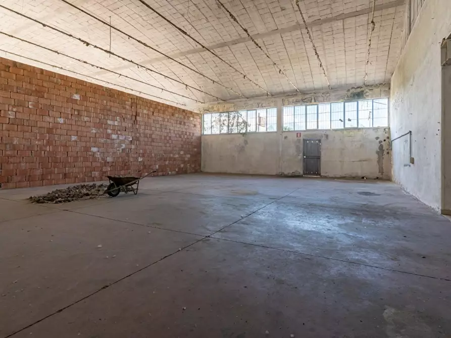 Immagine 3 di Attività artigianale in vendita  a Calcinaia