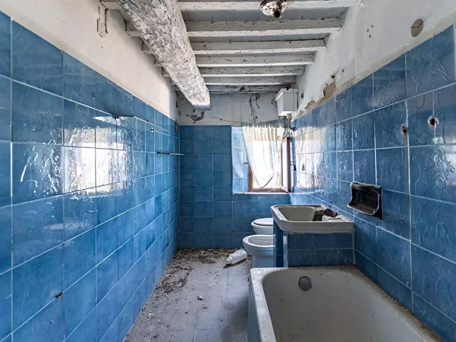 Immagine 19 di Casa colonica in vendita  a Monteverdi Marittimo