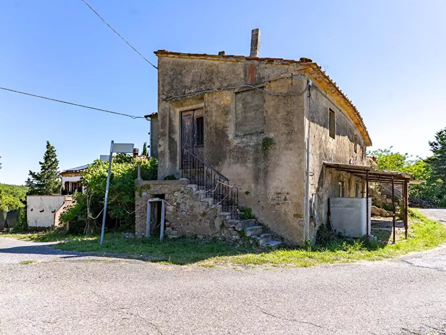 Immagine 4 di Casa colonica in vendita  a Monteverdi Marittimo