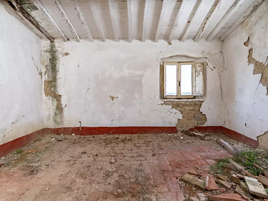 Immagine 20 di Casa colonica in vendita  a Monteverdi Marittimo