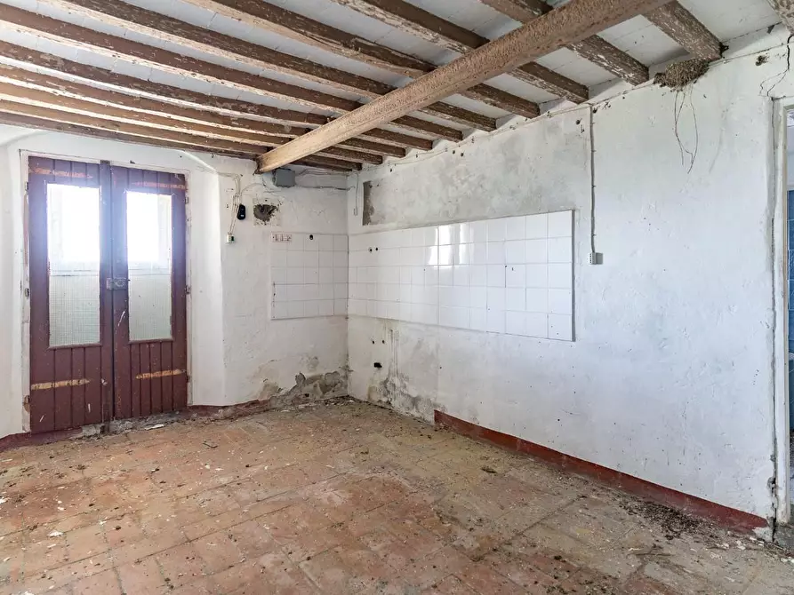 Immagine 18 di Casa colonica in vendita  a Monteverdi Marittimo