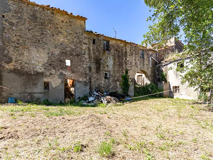 Immagine 9 di Casa colonica in vendita  a Monteverdi Marittimo