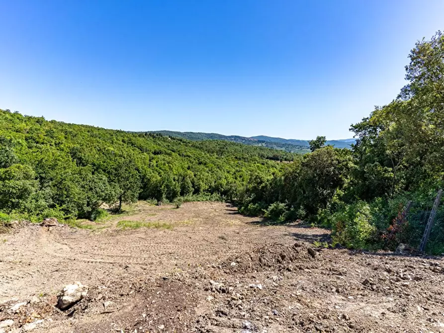 Immagine 10 di Casa colonica in vendita  a Monteverdi Marittimo