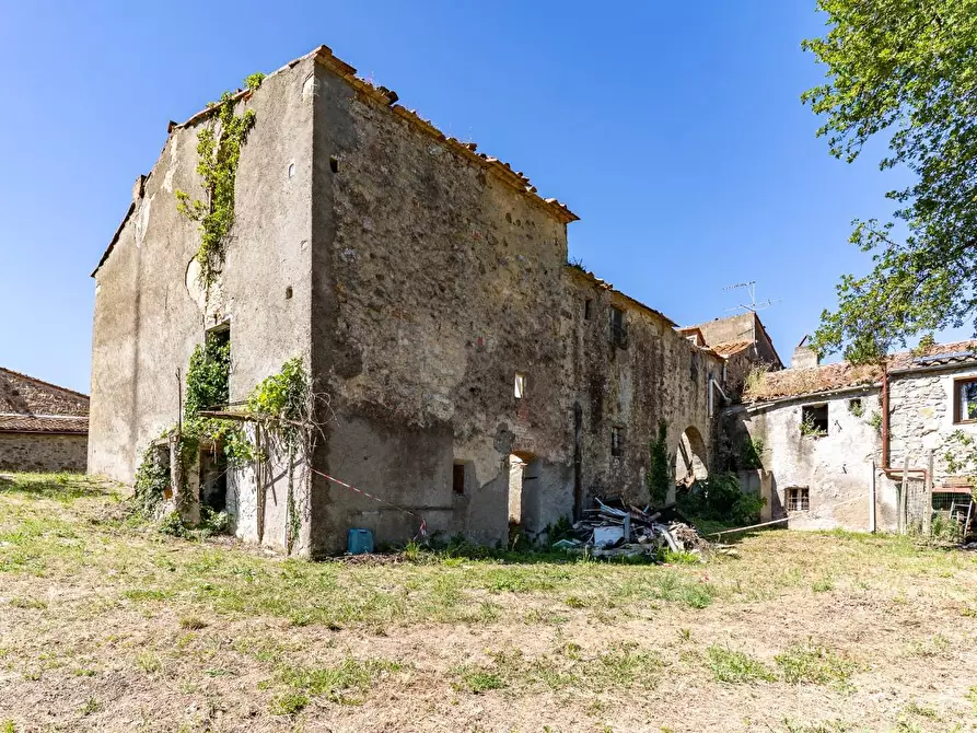 Immagine 8 di Casa colonica in vendita  a Monteverdi Marittimo