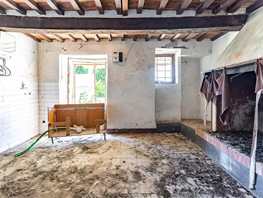 Immagine 14 di Casa colonica in vendita  a Monteverdi Marittimo