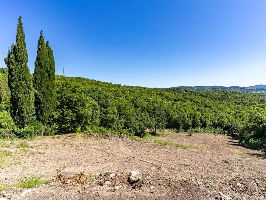 Immagine 6 di Casa colonica in vendita  a Monteverdi Marittimo