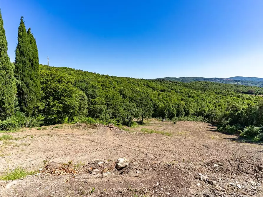 Immagine 11 di Casa colonica in vendita  a Monteverdi Marittimo
