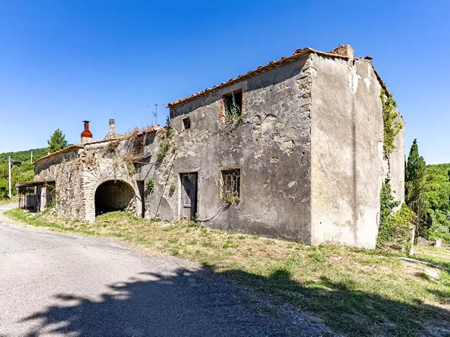 Immagine 2 di Casa colonica in vendita  a Monteverdi Marittimo