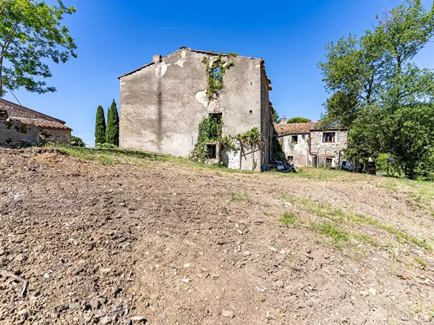 Immagine 7 di Casa colonica in vendita  a Monteverdi Marittimo