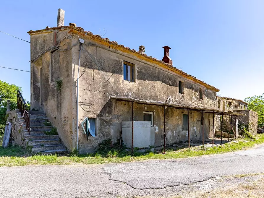 Immagine 1 di Casa colonica in vendita  a Monteverdi Marittimo