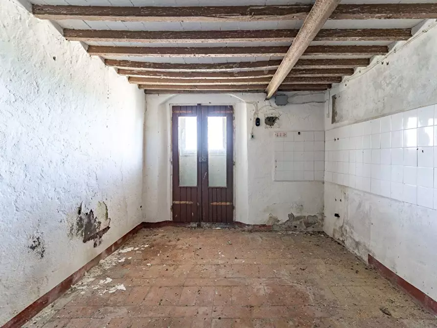 Immagine 17 di Casa colonica in vendita  a Monteverdi Marittimo