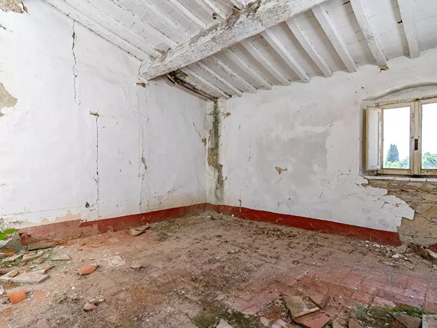 Immagine 21 di Casa colonica in vendita  a Monteverdi Marittimo