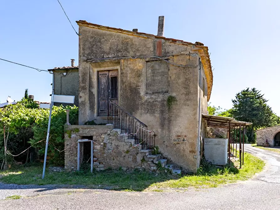 Immagine 3 di Casa colonica in vendita  a Monteverdi Marittimo