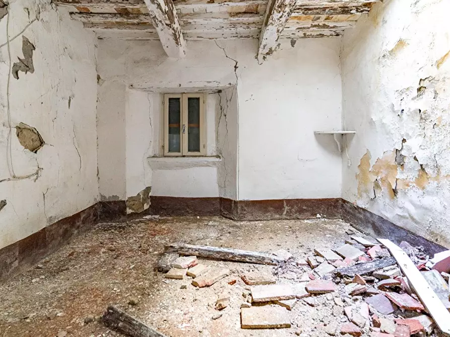 Immagine 15 di Casa colonica in vendita  a Monteverdi Marittimo