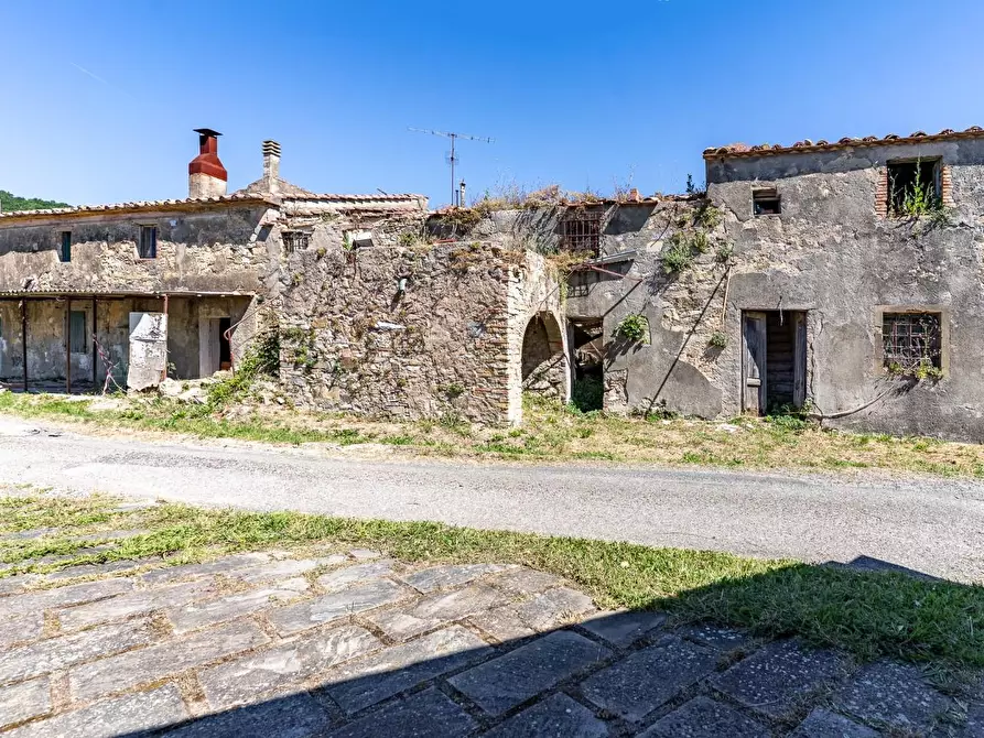 Immagine 5 di Casa colonica in vendita  a Monteverdi Marittimo