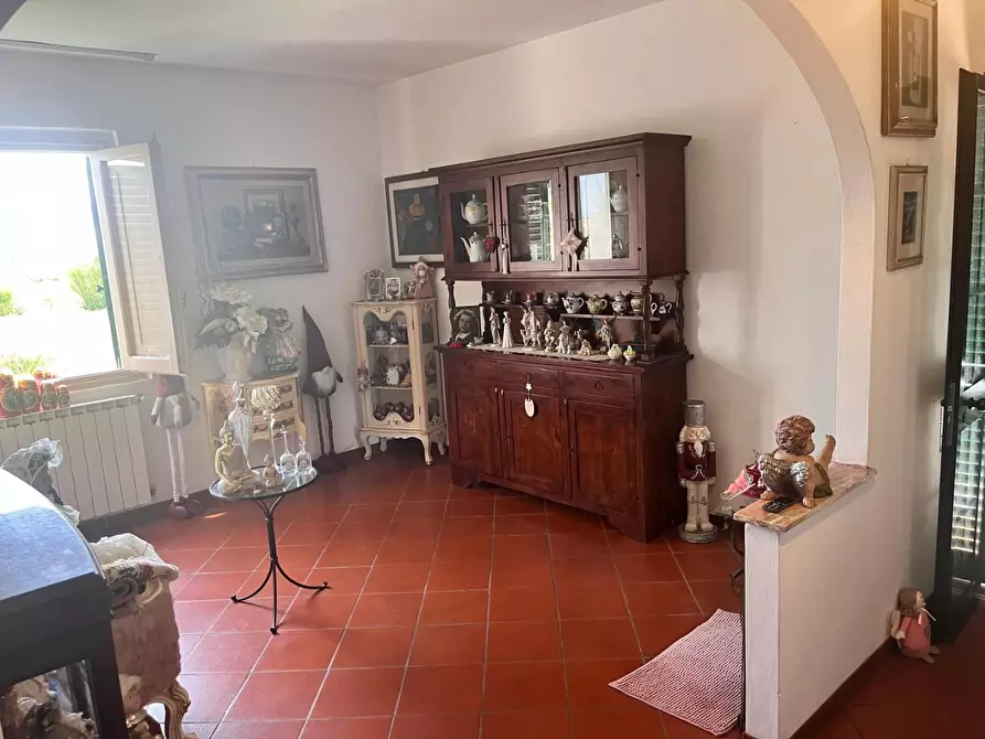 Immagine 8 di Terratetto in vendita  a Agliana