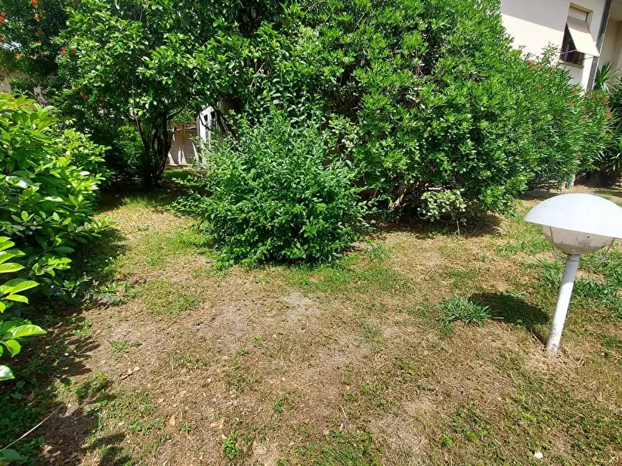 Immagine 12 di Villa in vendita  a Lucca