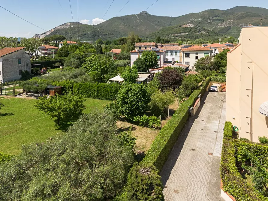 Immagine 19 di Villa in vendita  a Cascina