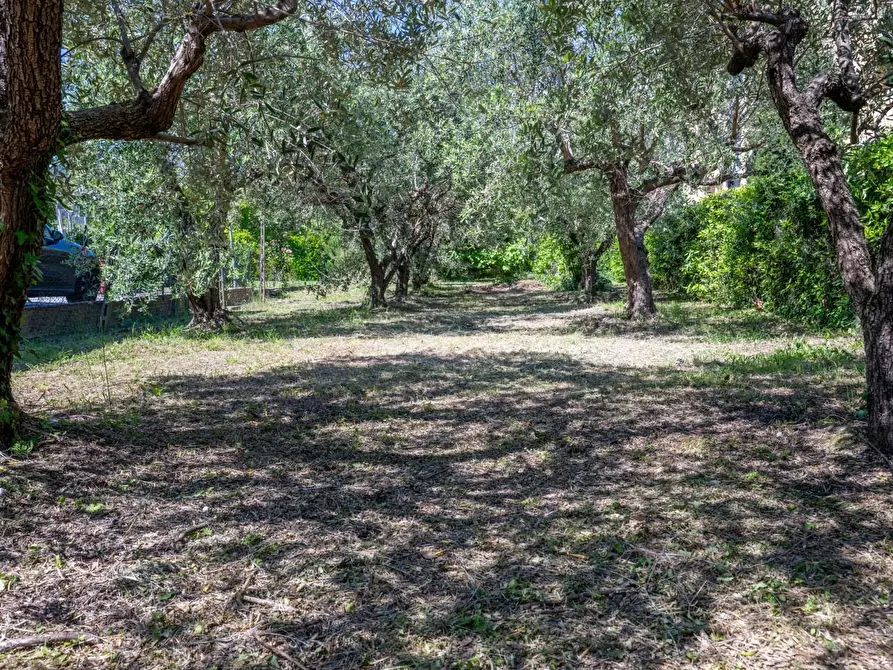 Immagine 59 di Villa in vendita  a Cascina