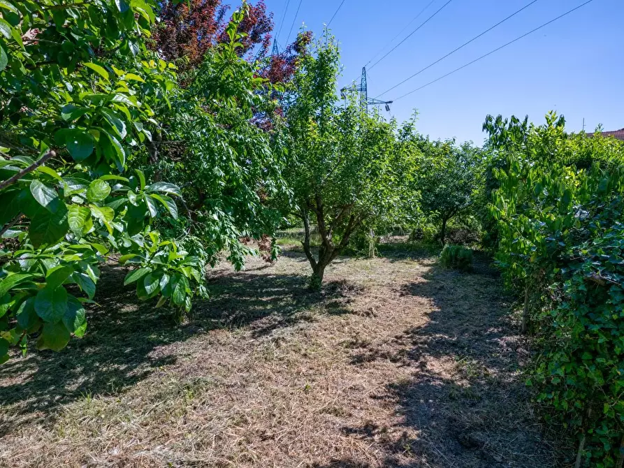 Immagine 56 di Villa in vendita  a Cascina