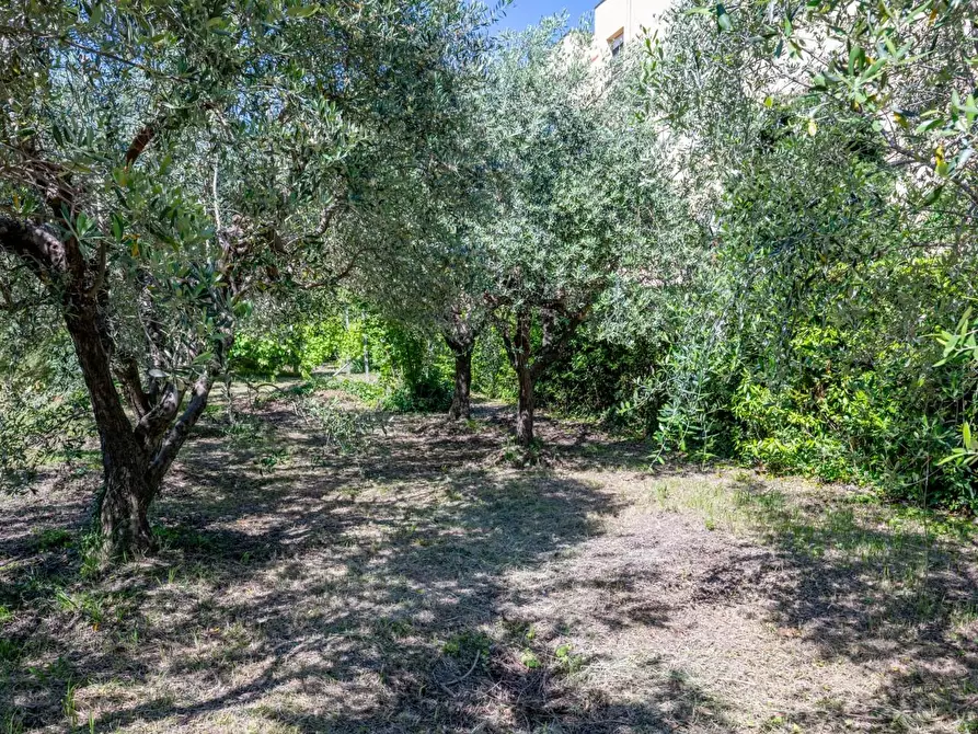 Immagine 58 di Villa in vendita  a Cascina