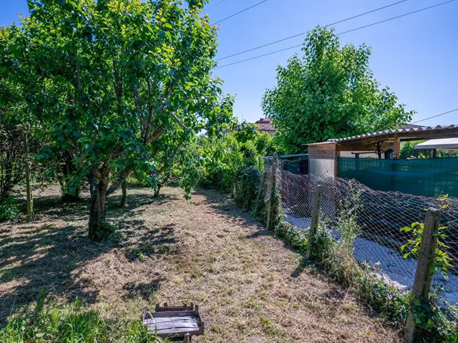 Immagine 55 di Villa in vendita  a Cascina