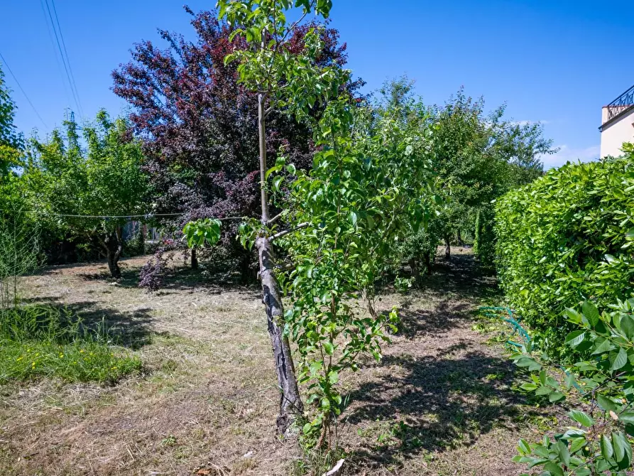 Immagine 57 di Villa in vendita  a Cascina