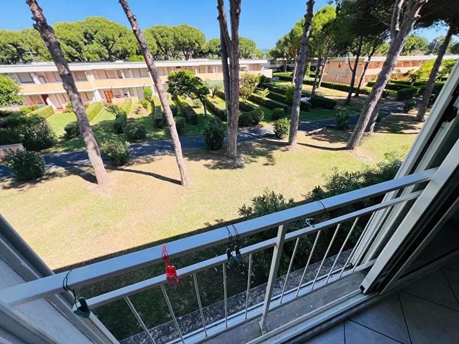 Immagine 13 di Albergo/B&B/Residence in vendita  a Bibbona