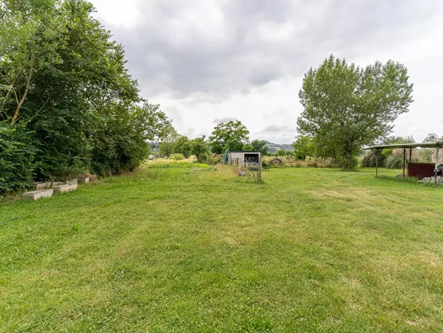 Immagine 16 di Casa colonica in vendita  a Empoli