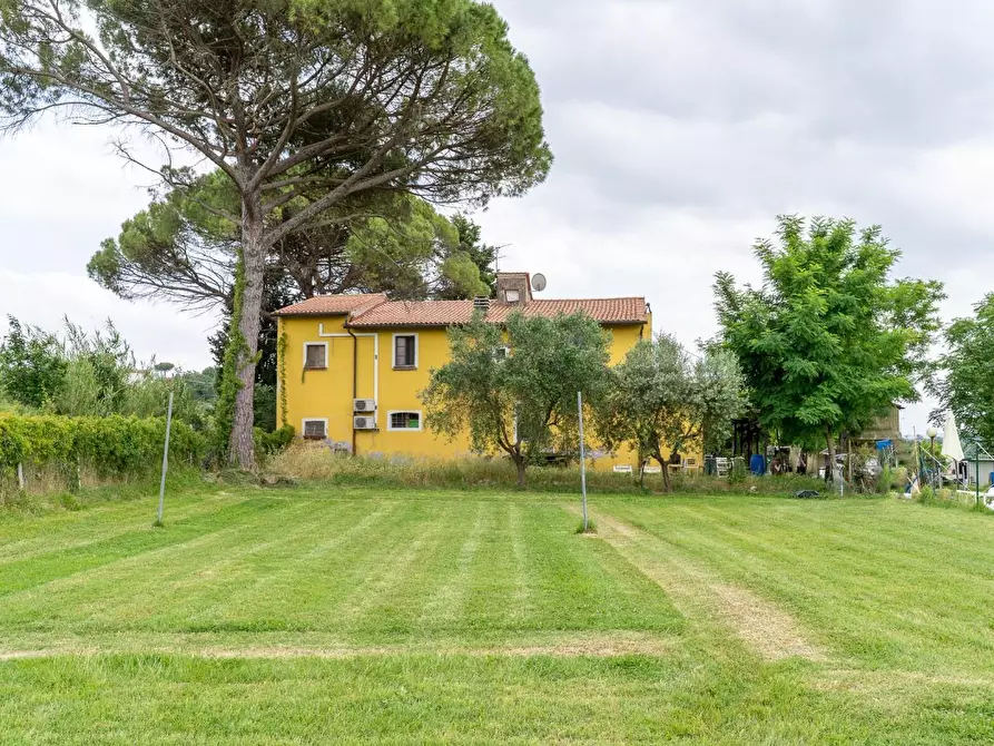 Immagine 10 di Casa colonica in vendita  a Empoli