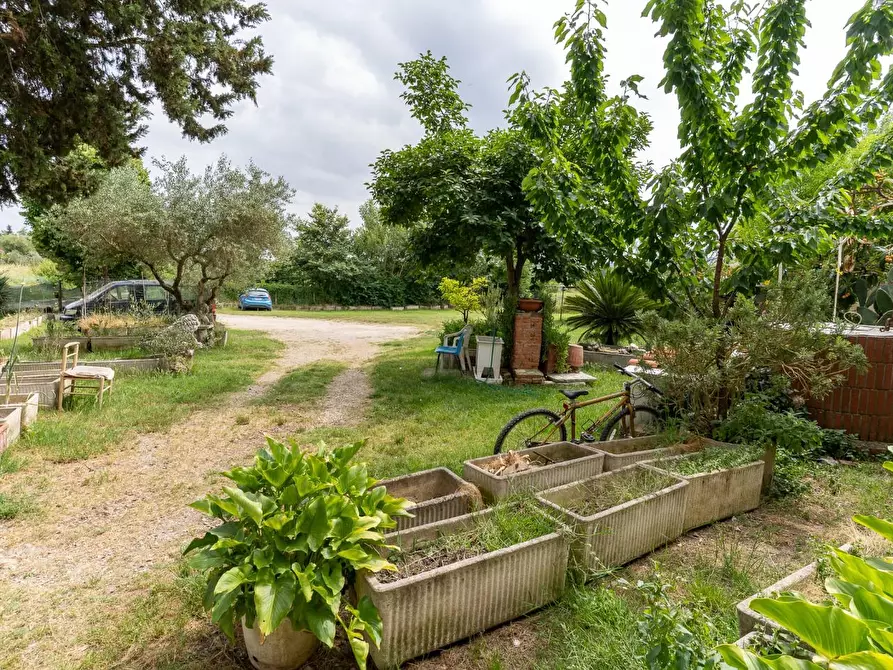 Immagine 29 di Casa colonica in vendita  a Empoli