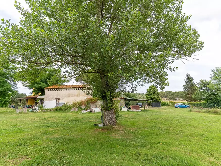 Immagine 14 di Casa colonica in vendita  a Empoli