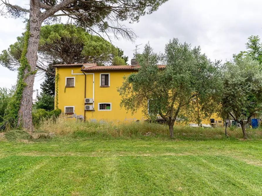 Immagine 9 di Casa colonica in vendita  a Empoli