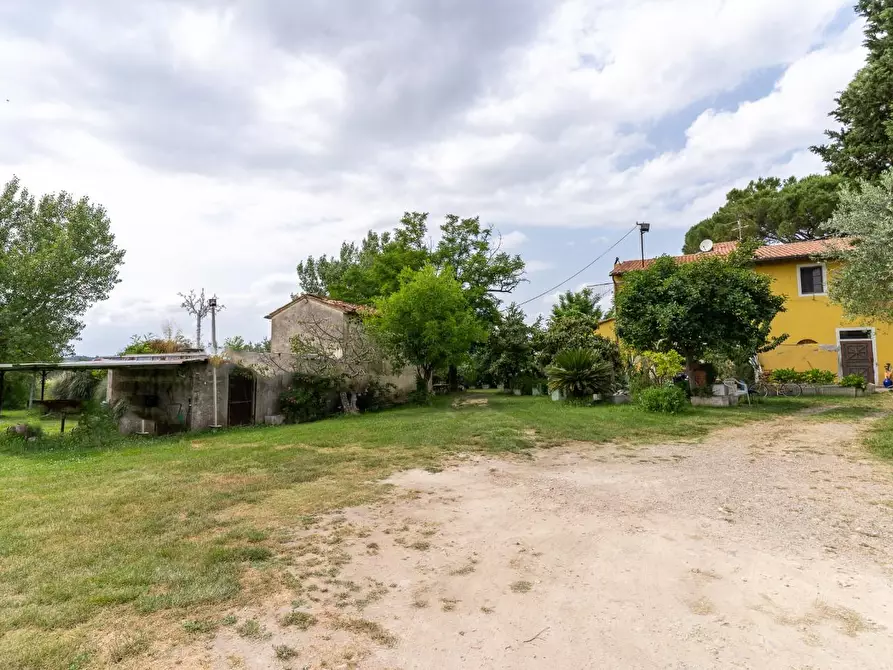 Immagine 27 di Casa colonica in vendita  a Empoli