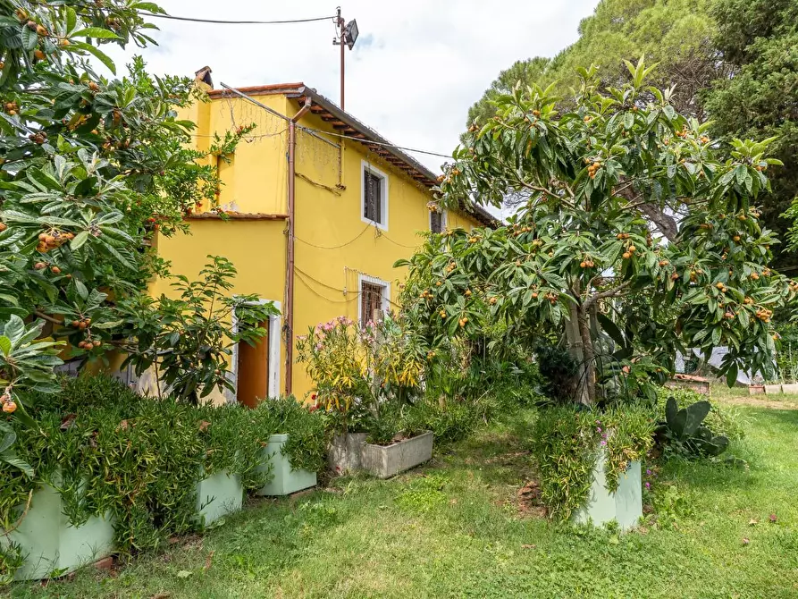 Immagine 5 di Casa colonica in vendita  a Empoli