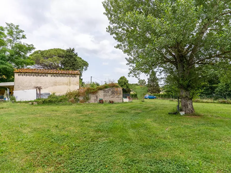 Immagine 19 di Casa colonica in vendita  a Empoli