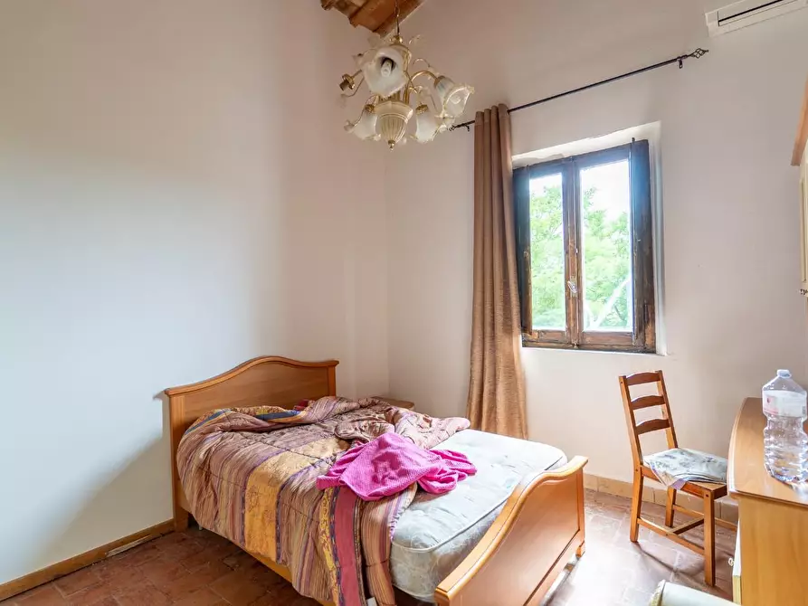 Immagine 36 di Casa colonica in vendita  a Empoli