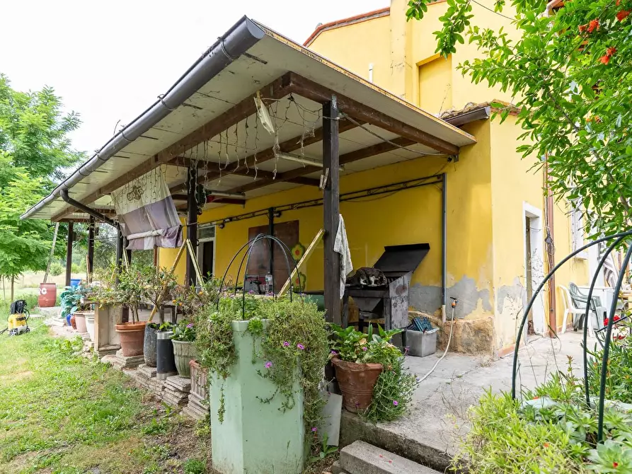 Immagine 26 di Casa colonica in vendita  a Empoli