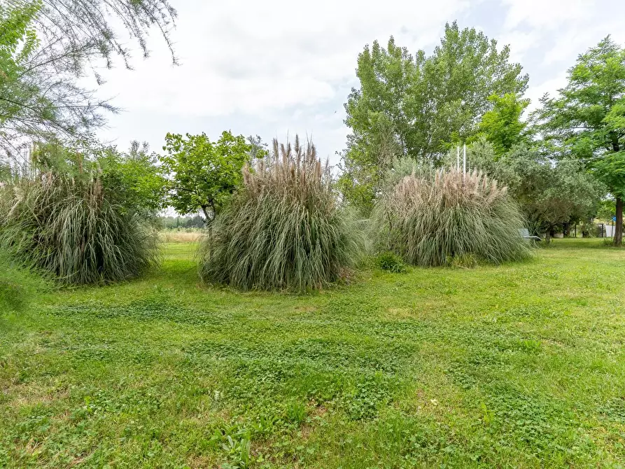 Immagine 18 di Casa colonica in vendita  a Empoli