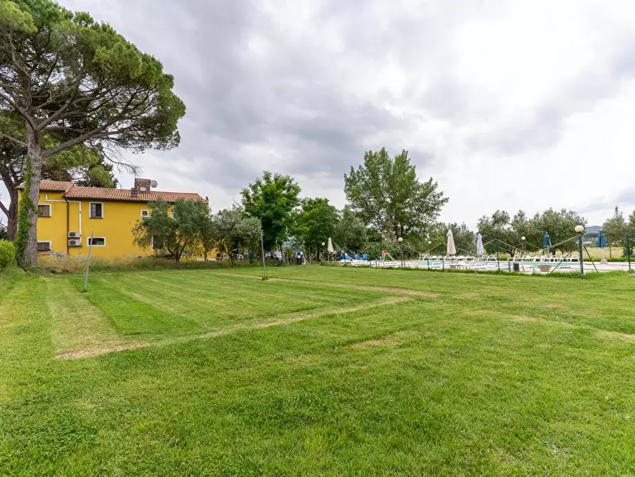 Immagine 11 di Casa colonica in vendita  a Empoli