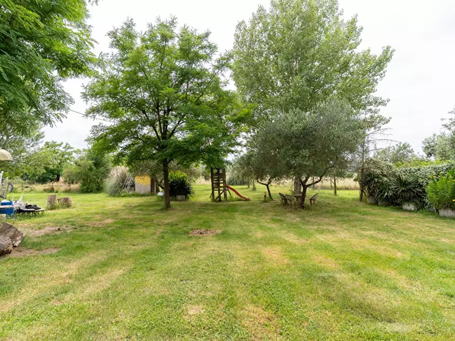 Immagine 17 di Casa colonica in vendita  a Empoli