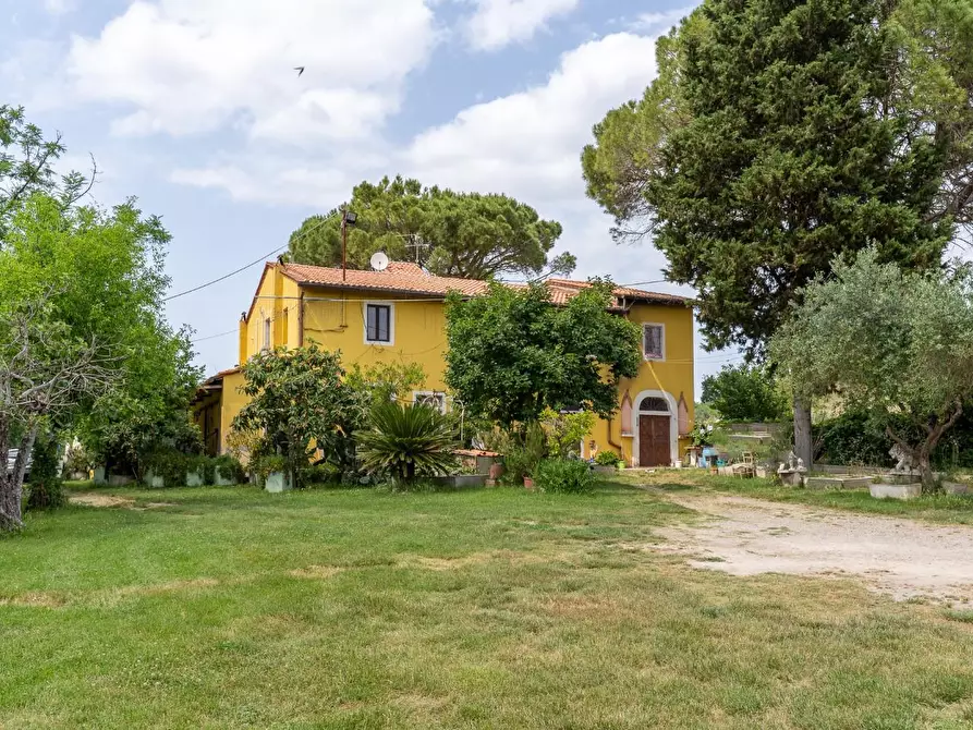 Immagine 2 di Casa colonica in vendita  a Empoli