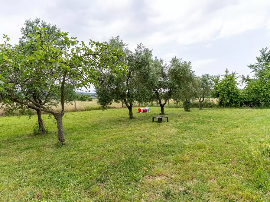 Immagine 20 di Casa colonica in vendita  a Empoli